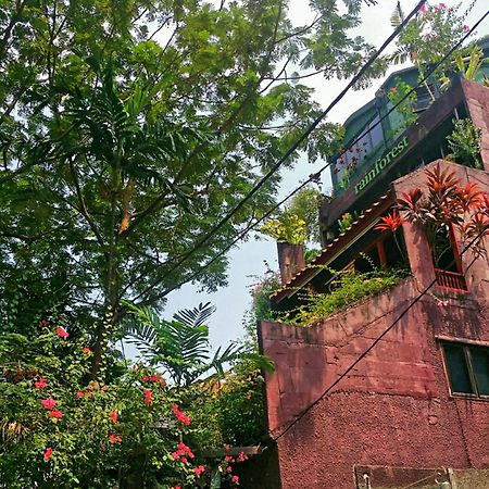 Rainforest Bed & Breakfast Kuala Lumpur Exterior foto