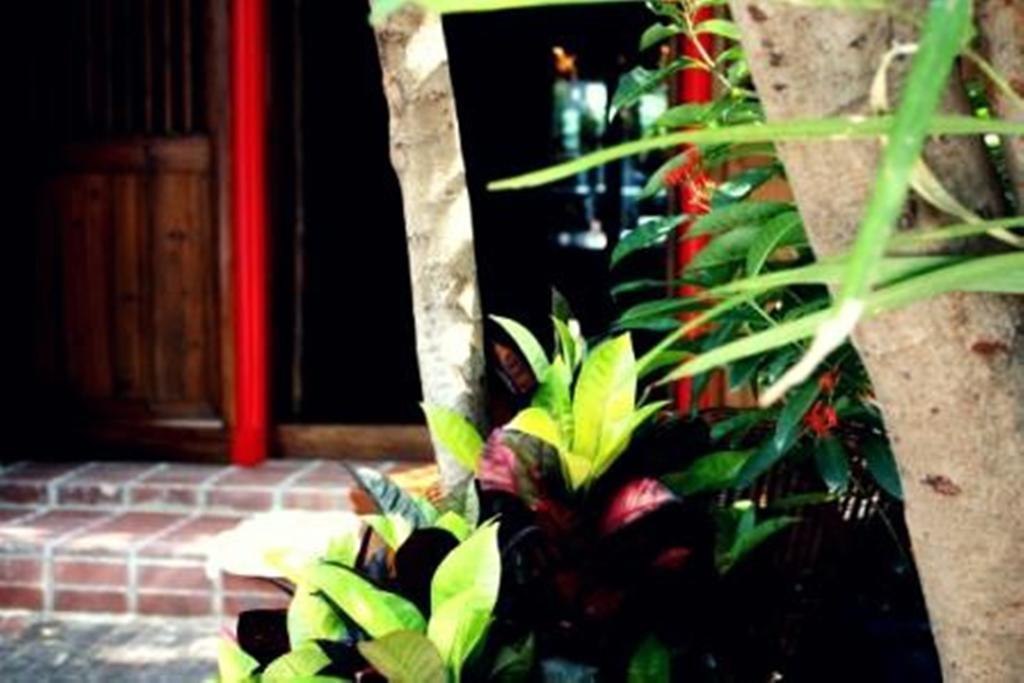 Rainforest Bed & Breakfast Kuala Lumpur Exterior foto